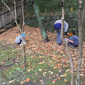 2017年11月8日(水)ー②